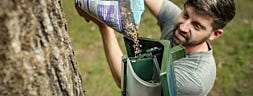 Best Bird Food for Nesting and Breeding Season