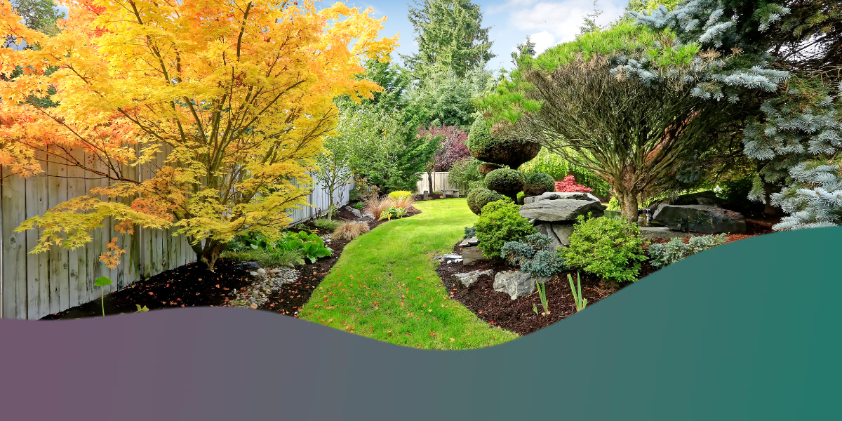 Yard design for bird habitat