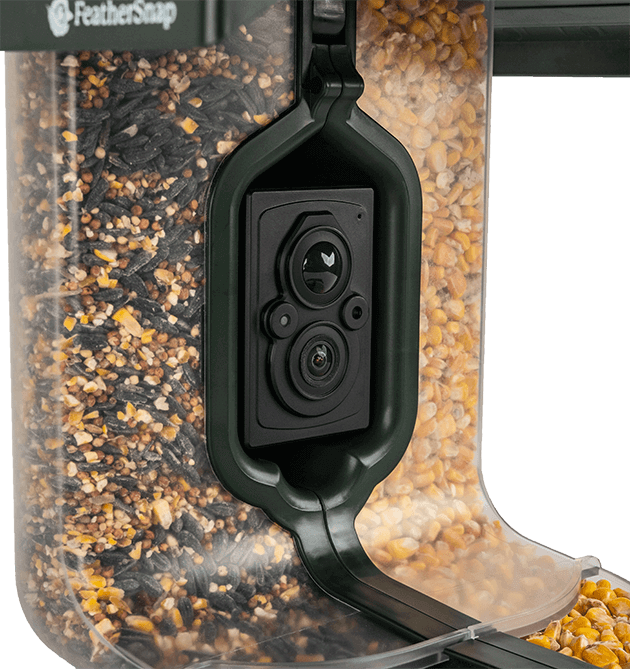 AI-powered bird feeder from FeatherSnap