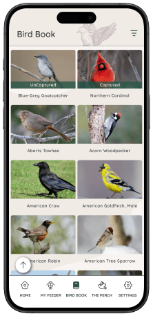 Download the FeatherSnap App