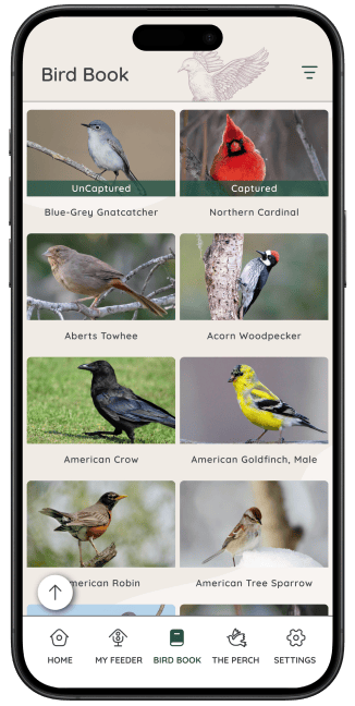 See photo captures of your daily feeder visitors