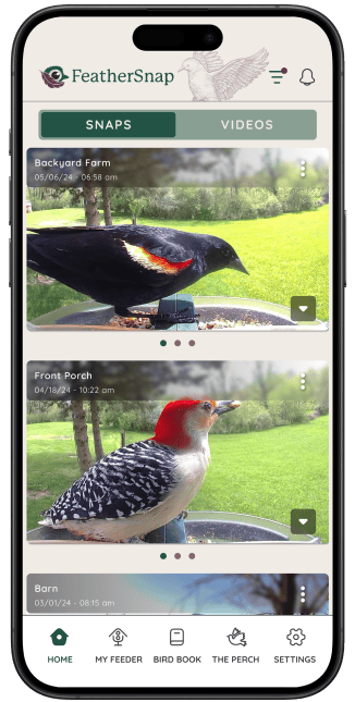 Track your birds viewed in your Life Book