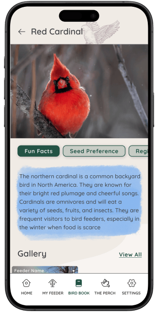 Identify avian visitors to your FeatherSnap feeder with AI