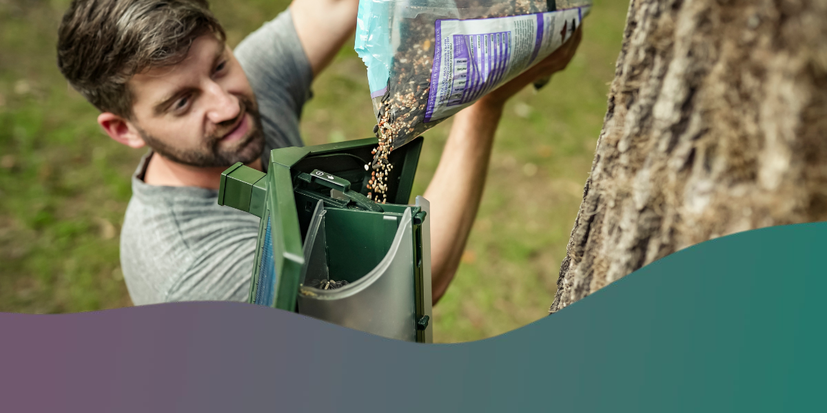 Best bird food for cam