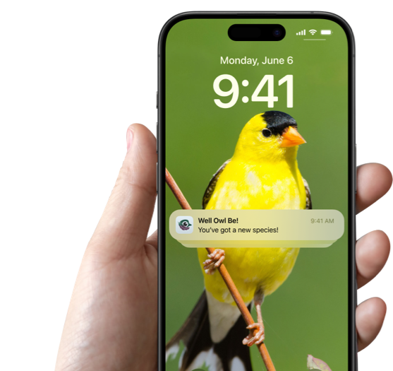 Real-Time Notifications