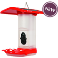Smart Hummingbird Feeder
